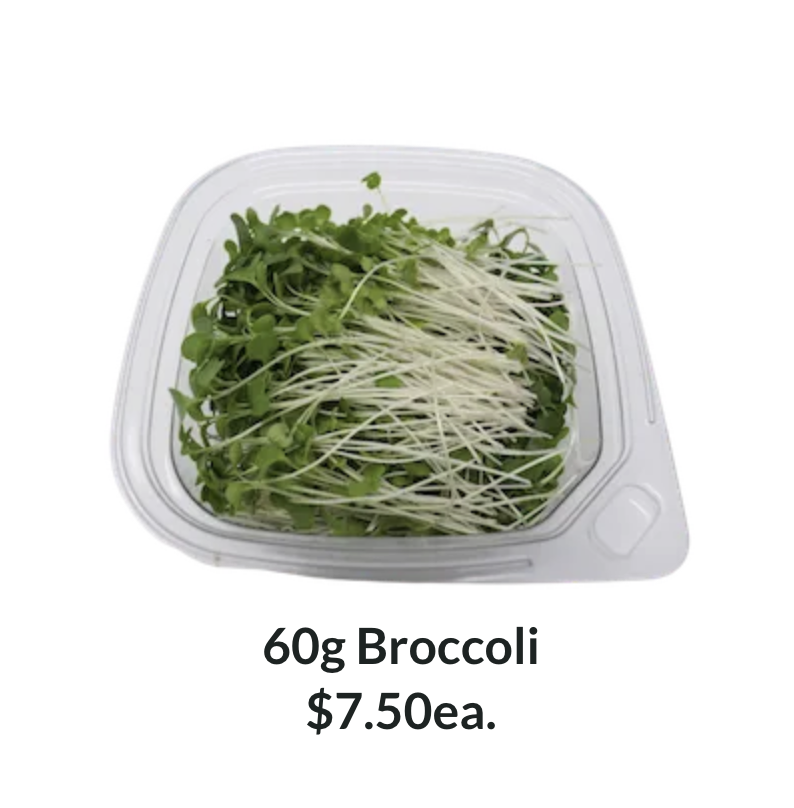 60g Broccoli Microgreens punnet