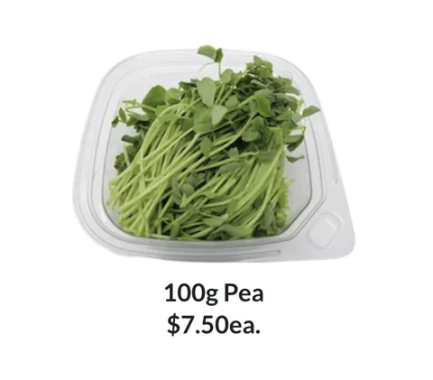 100g Pea Microgreens punnet