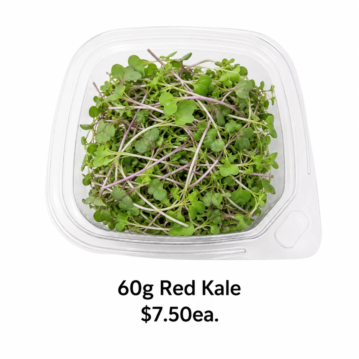 60g Red Kale Microgreens punnet